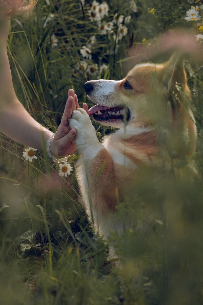 Photograph by Елена Коновалова