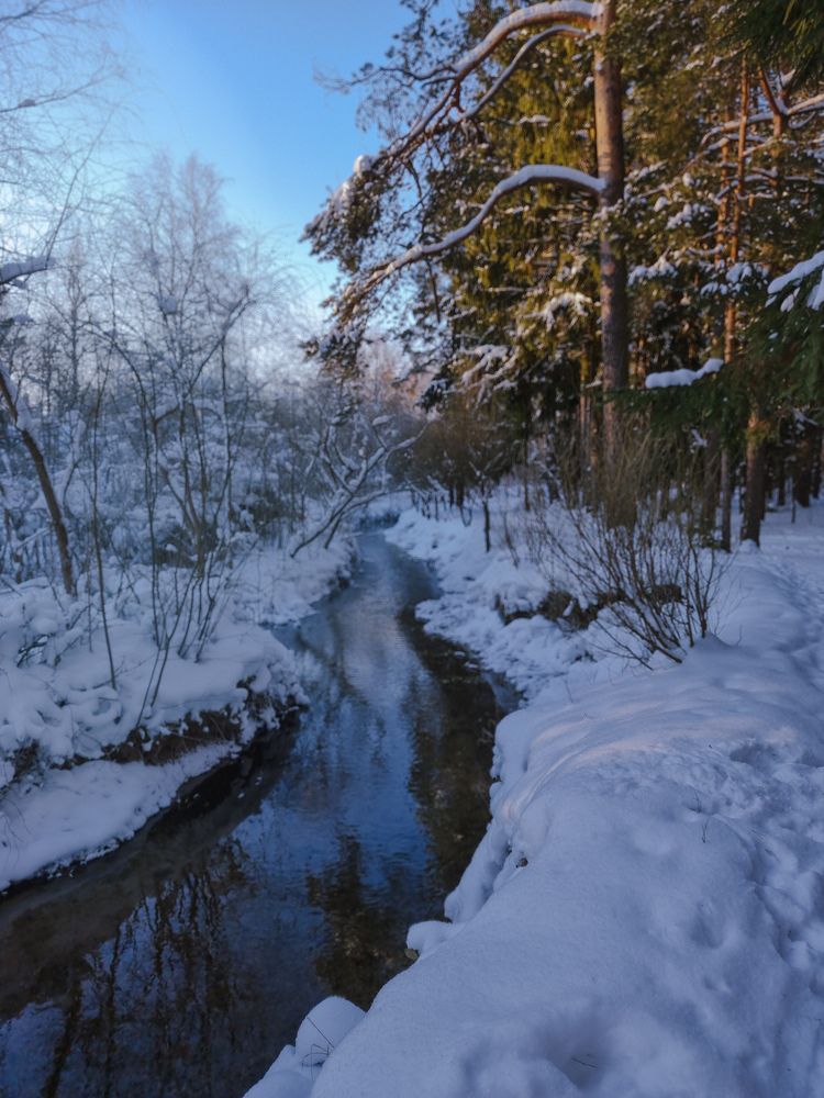 Photograph by Maria Volnova