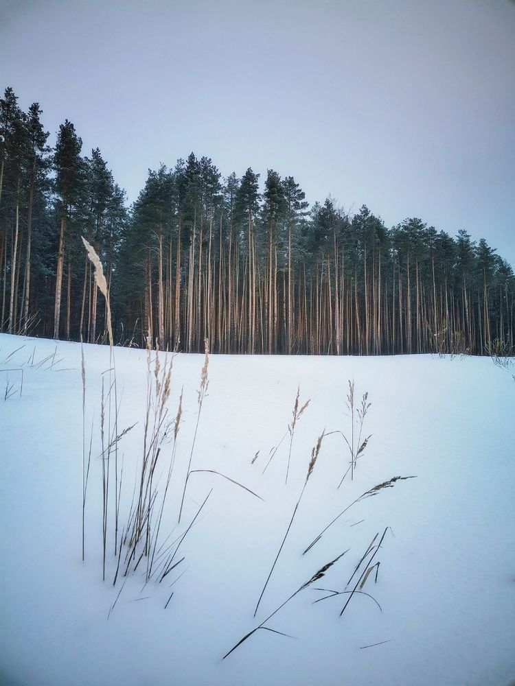 Photograph by Алёна Кибичеева