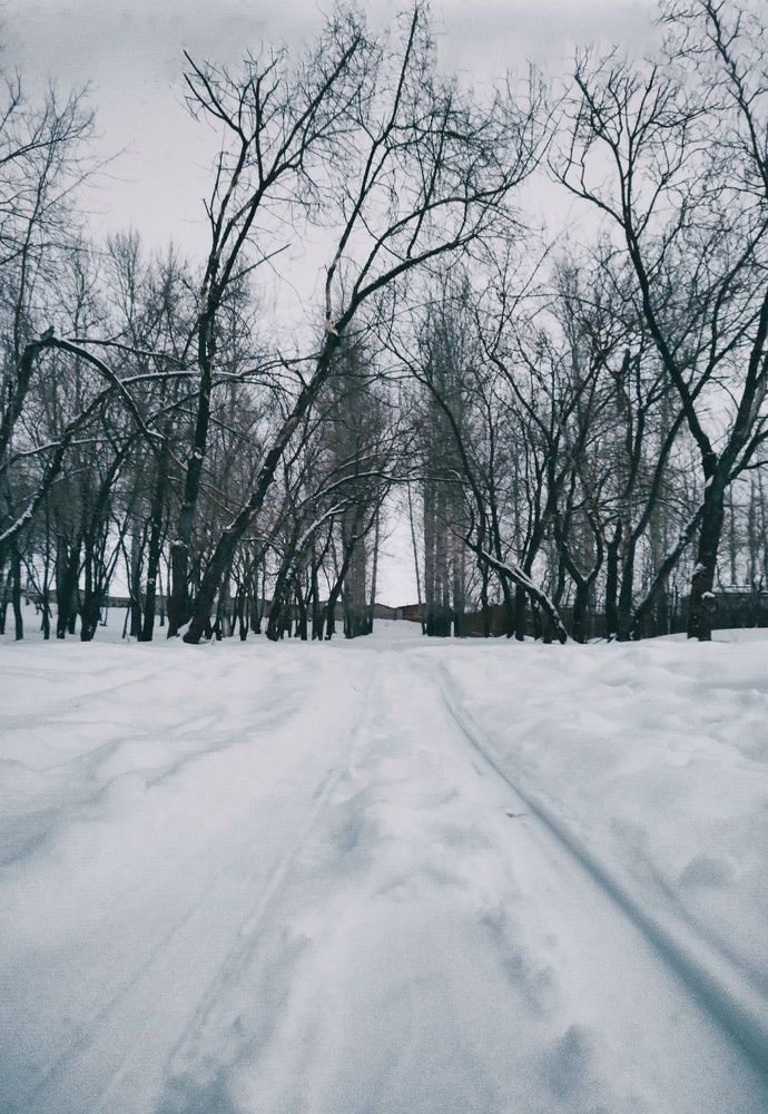 Photograph by Алёна Кибичеева