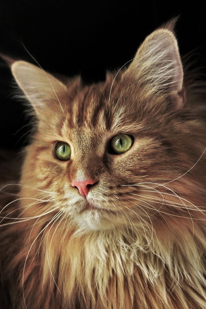 Photograph by Гагик Мхитарян