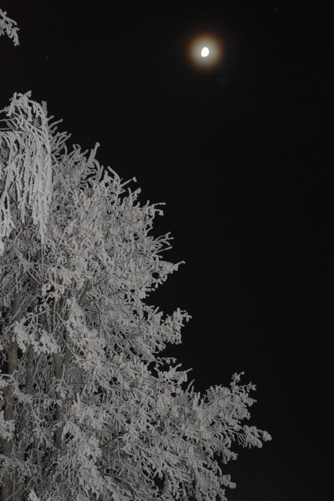 Photograph by Ксения Лебедева