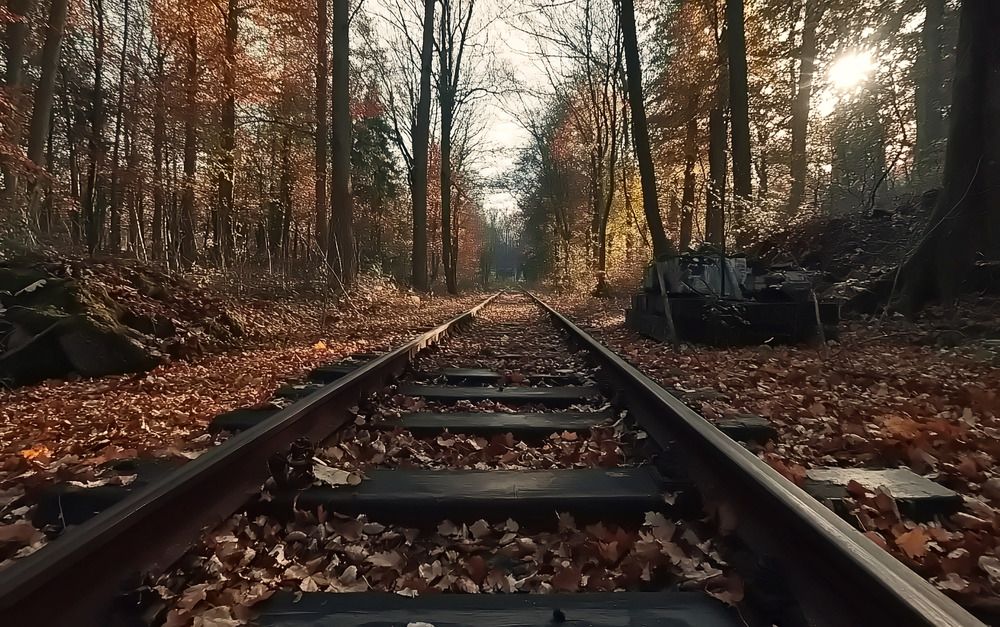 Photograph by Наталья Баранова