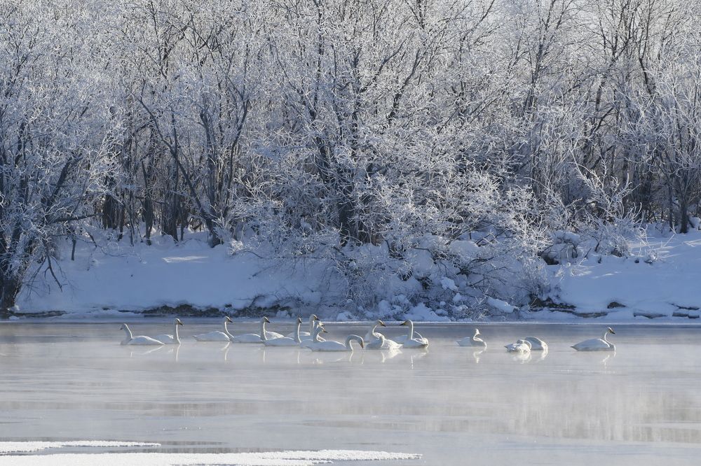 Photograph by Наталья Турчик