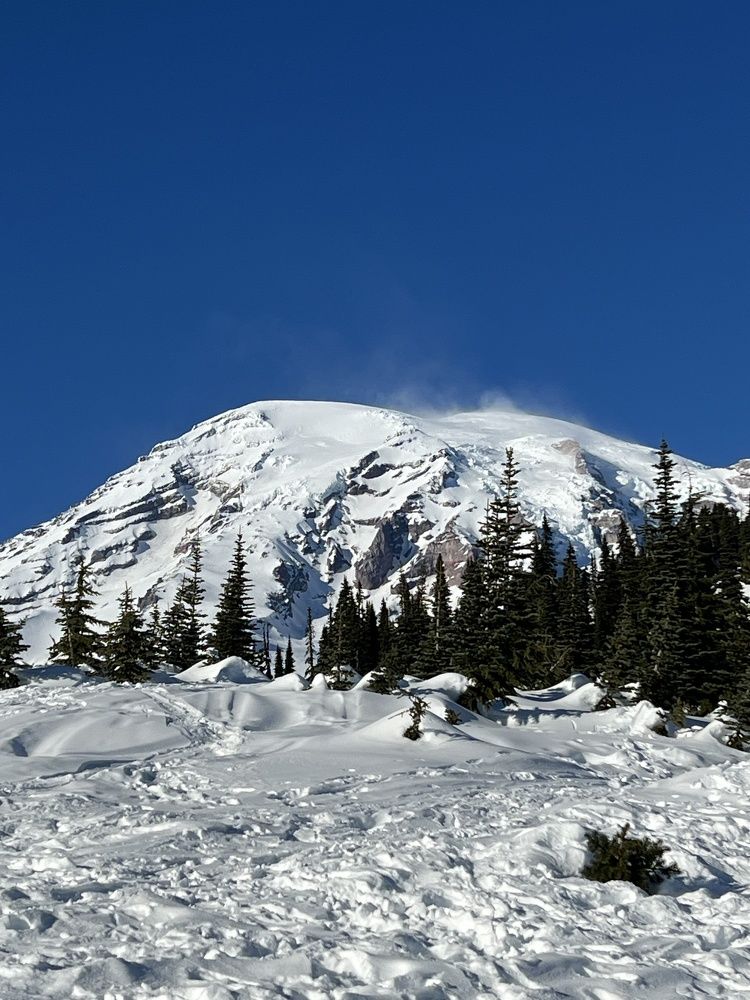 Фотография автора Diana