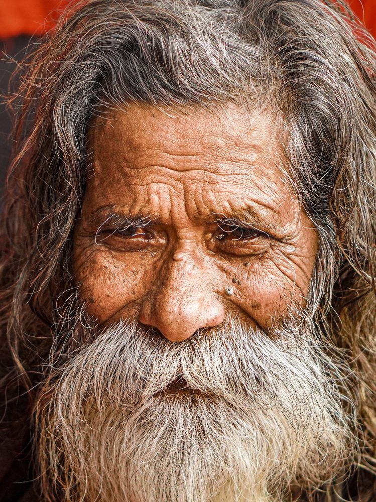 Photograph by Trishik Bose