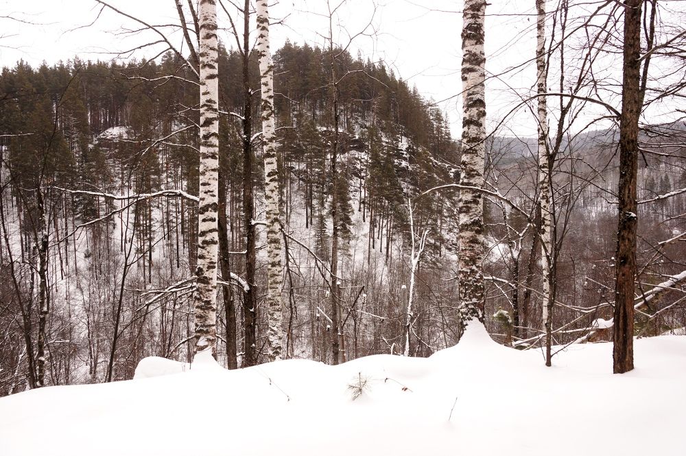 Photograph by Игорь Кравцов