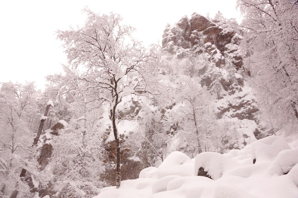 Photograph by Игорь Кравцов