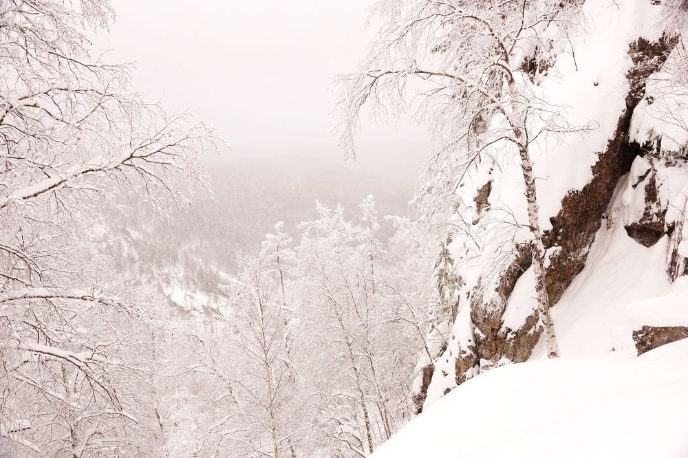 Photograph by Игорь Кравцов