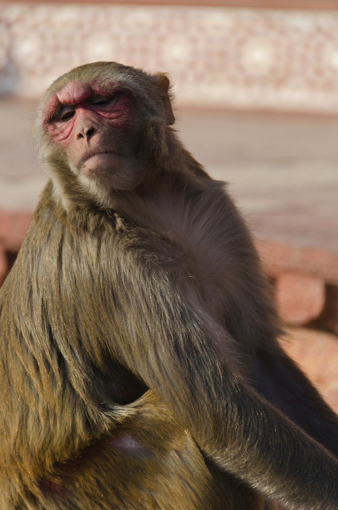 Photograph by Татьяна