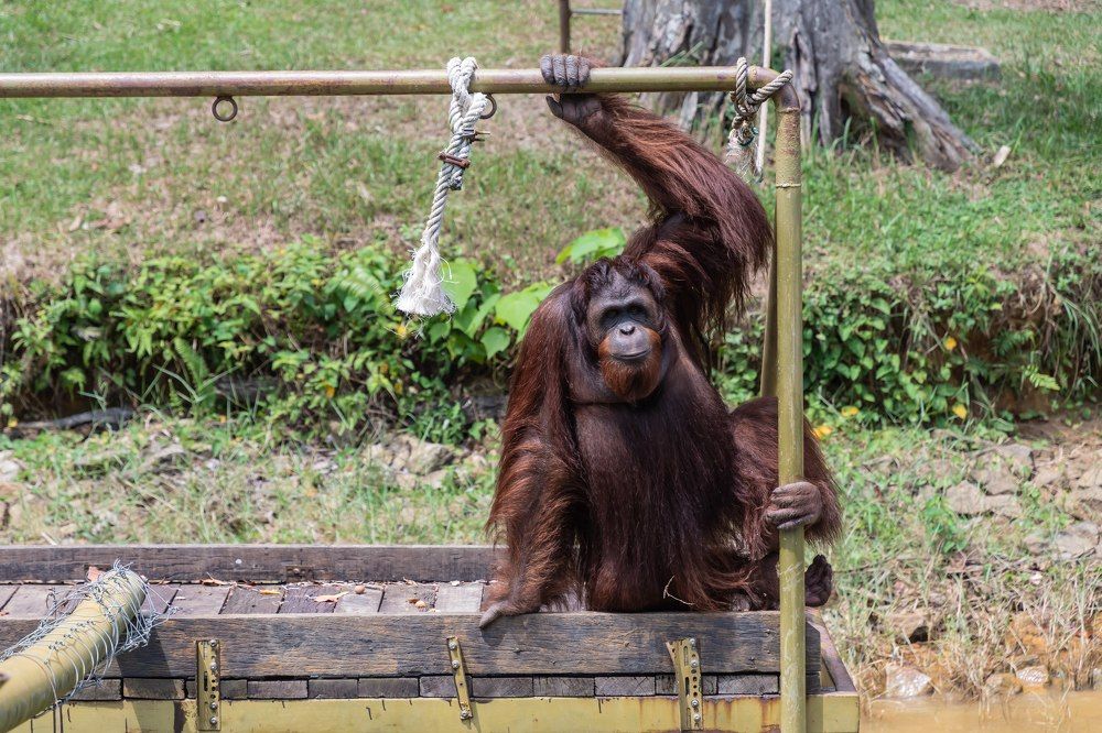 Photograph by Татьяна