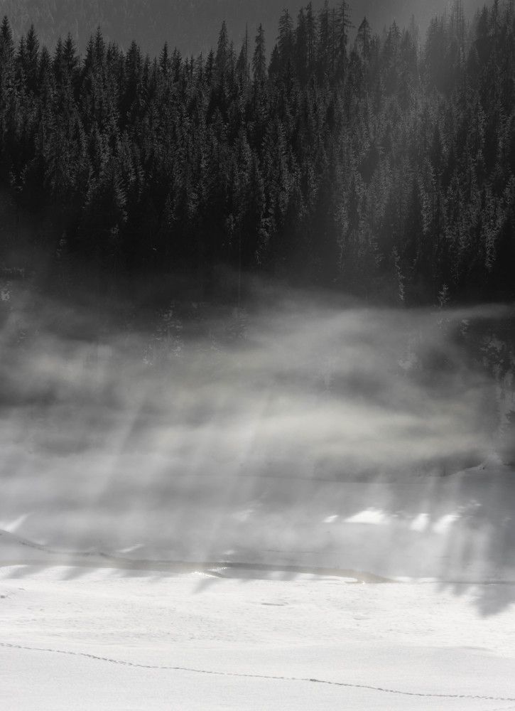 Фотография автора Sebastian Popa