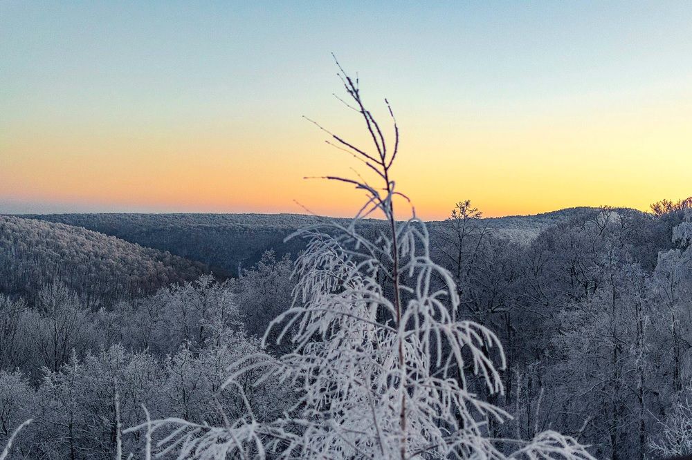 Photograph by Назмутдинова Сауия