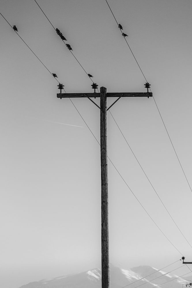 Фотография автора Vasileios Stergiopoulos