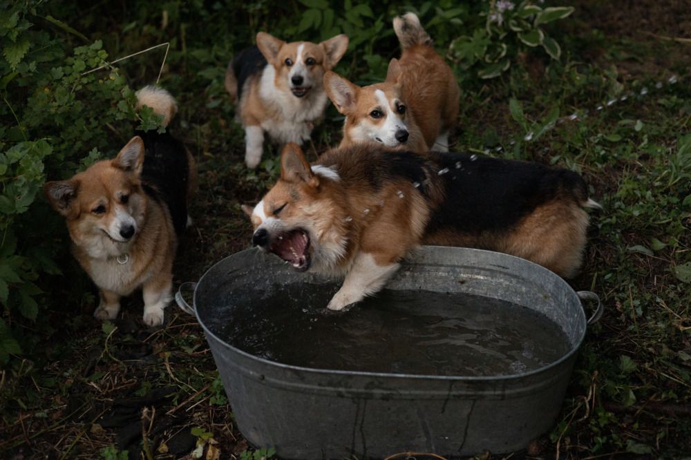 Фотография автора Елена Попова