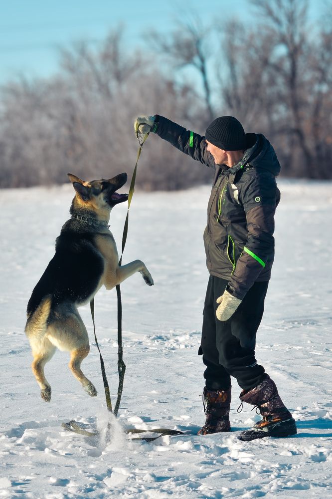 Веселые игры