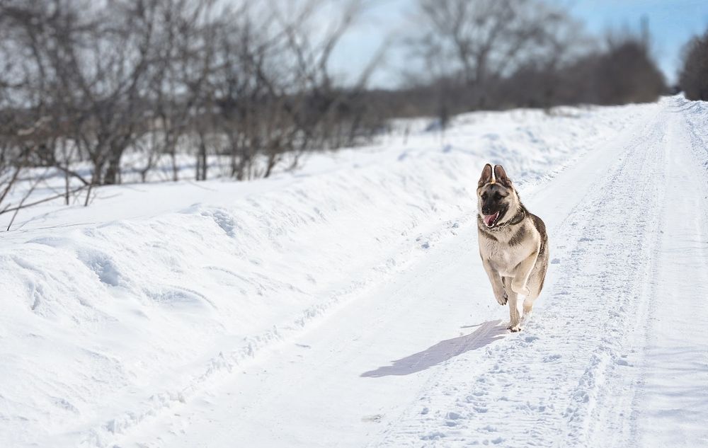 Photograph by Валентина Воробьёва