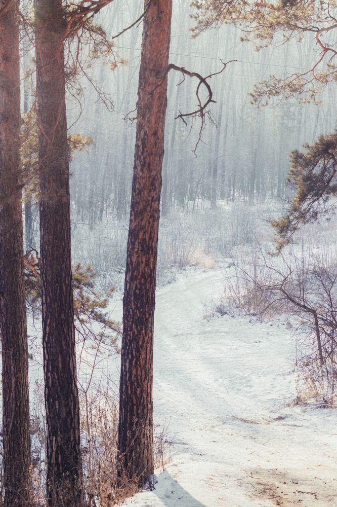 Photograph by Юлия Соболева