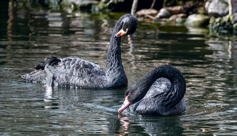Фотография автора Александр Колбасов
