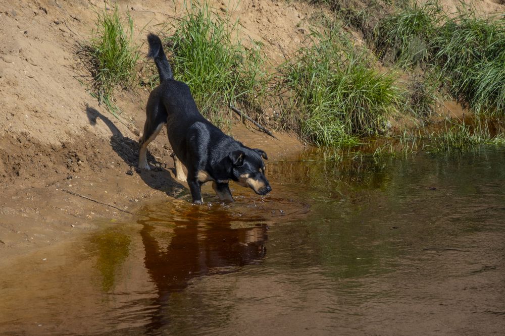 Фотография автора Геннадий Коробов
