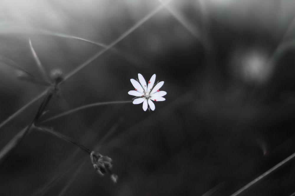 Photograph by Наталья Островцева