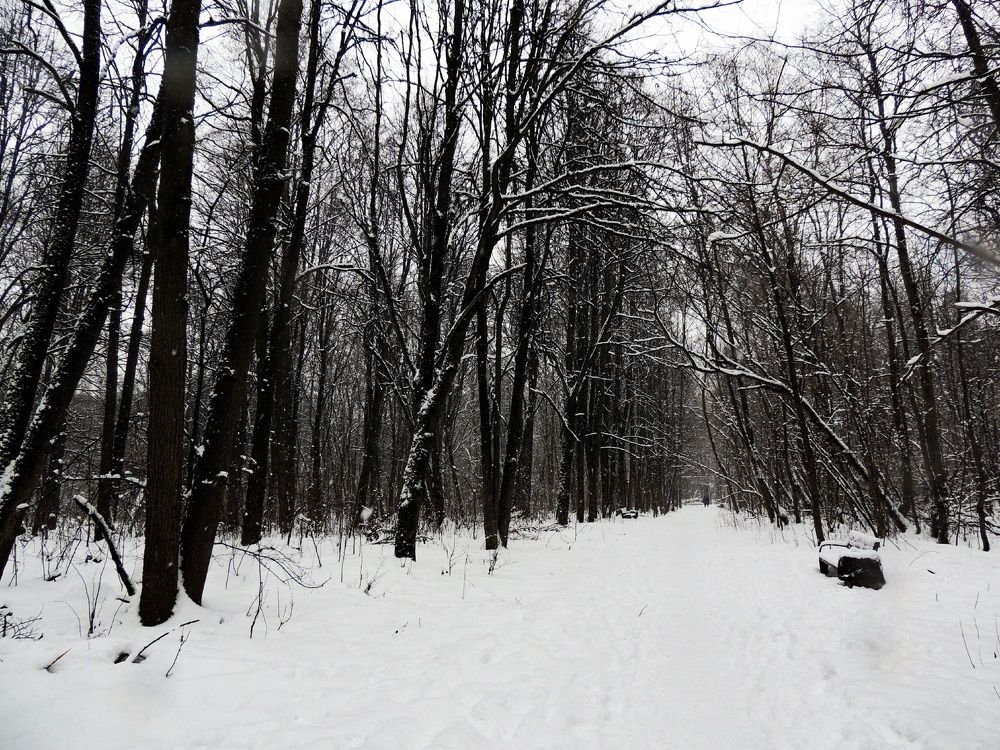 Photograph by Екатерина Дзюба