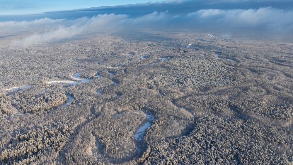 Фотография автора Дмитрий Храмцов