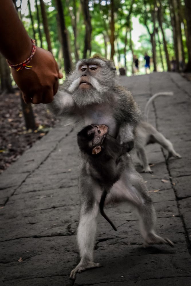 Фотография автора Kristina Karadakova