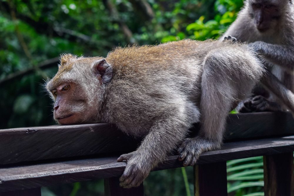 Фотография автора Kristina Karadakova