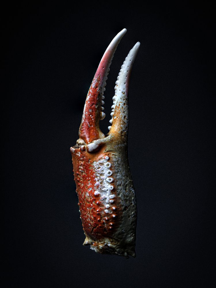 Photograph by Игорь Толкачев