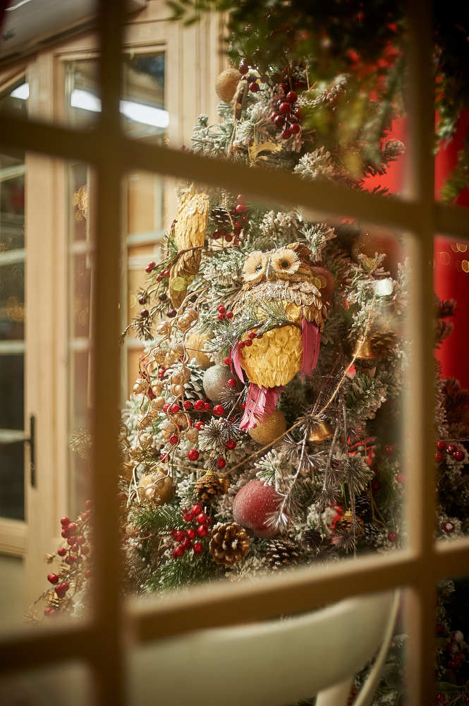 Photograph by Alexander Coin