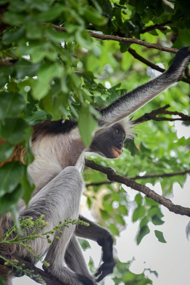 Фотография автора Kristina Karadakova