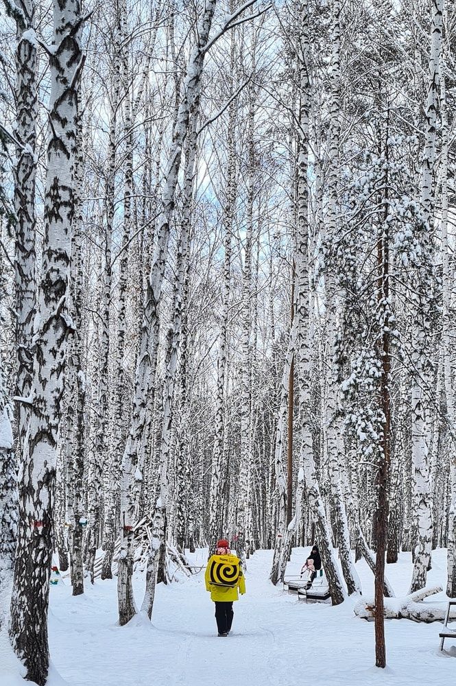 Прогулка с Яндексом