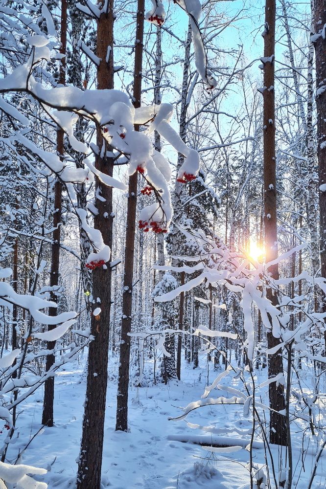 Photograph by Владимир Перетягин