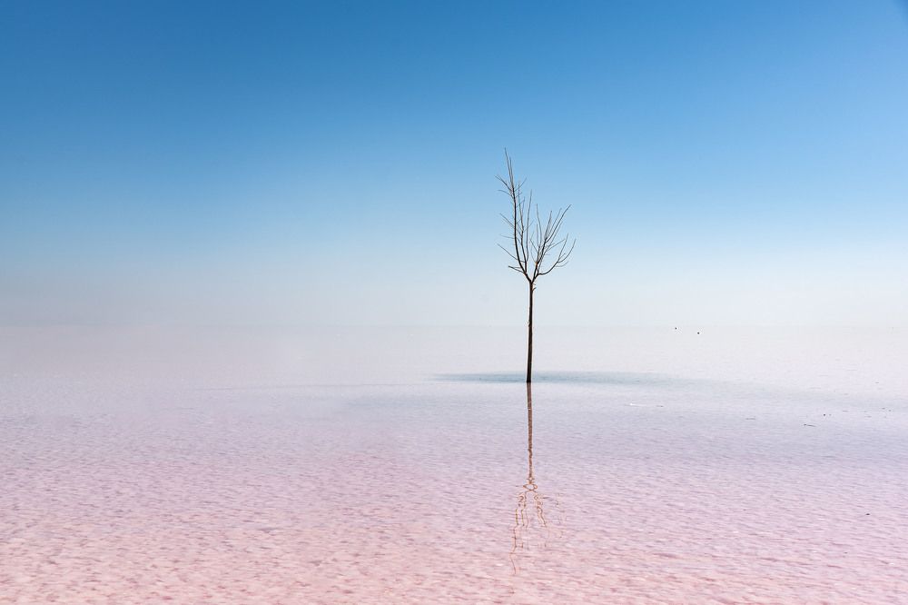 Photograph by Ozgur Roger Sayitoglu