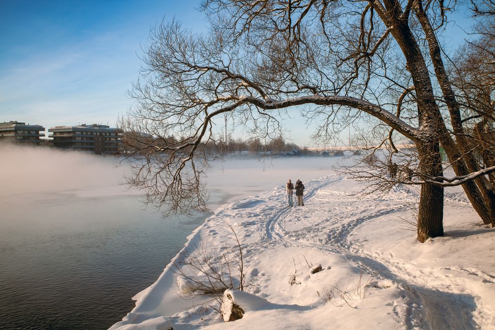 Фотография автора Анна Тихомирова