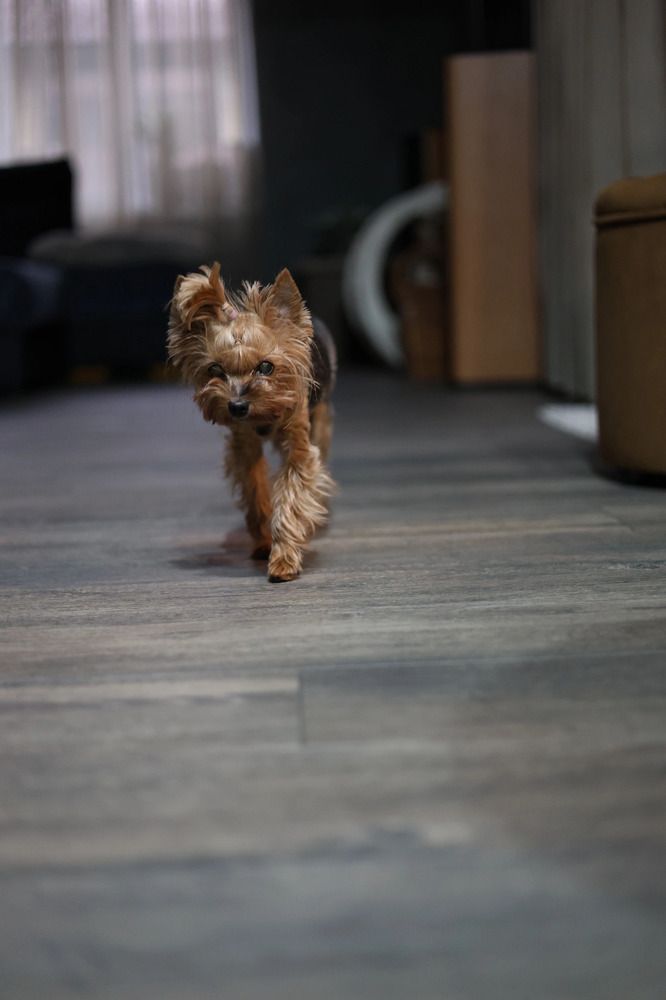 Photograph by Алёна Маринина