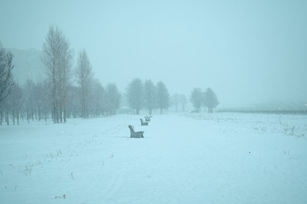 Photograph by Павлович Анатолий