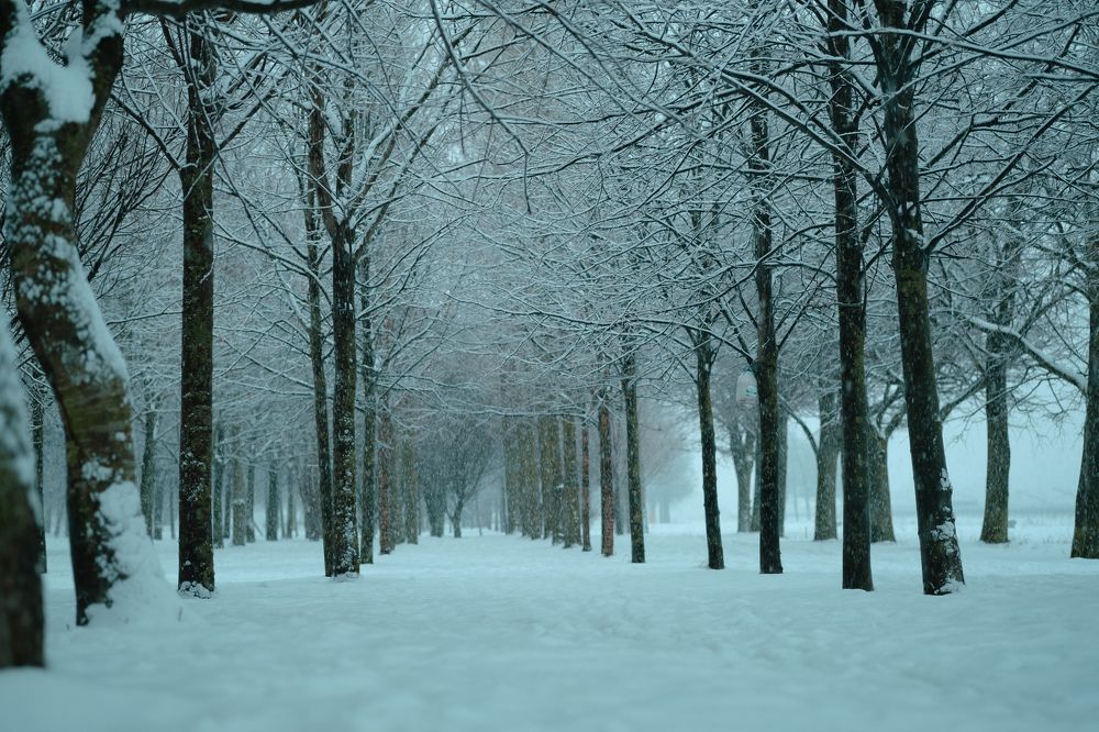 Photograph by Павлович Анатолий