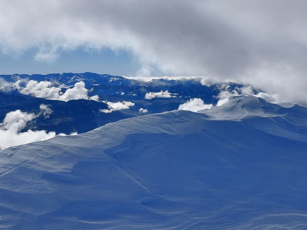 Photograph by Надежда