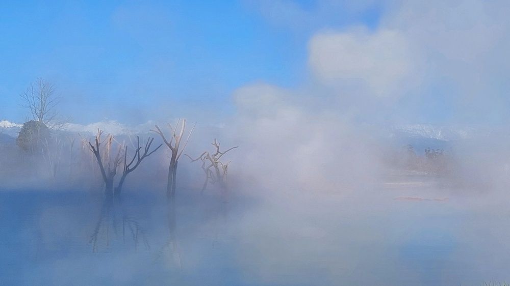 Photograph by Надежда