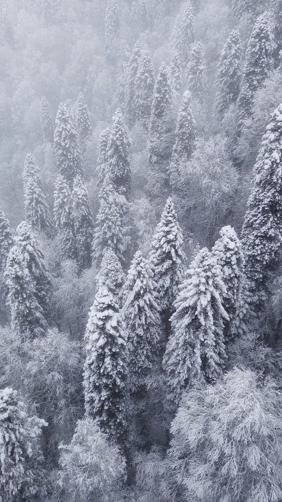 Photograph by Надежда