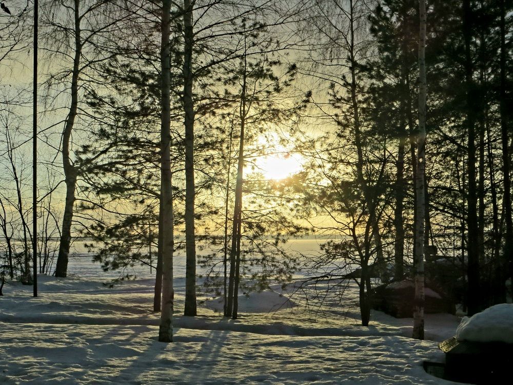Photo #11724155