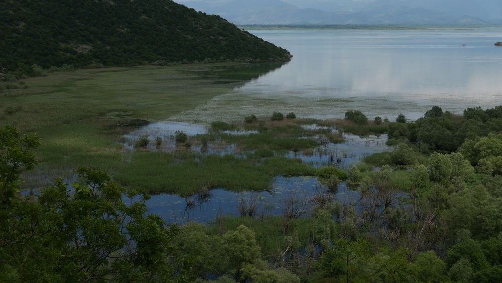 Photograph by Елена Агапкина