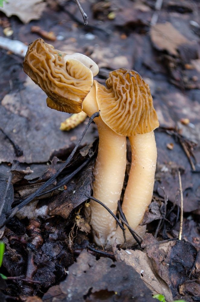 Photograph by Любовь Бусова