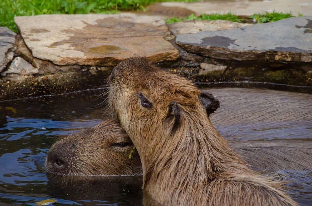 Photograph by Любовь Бусова