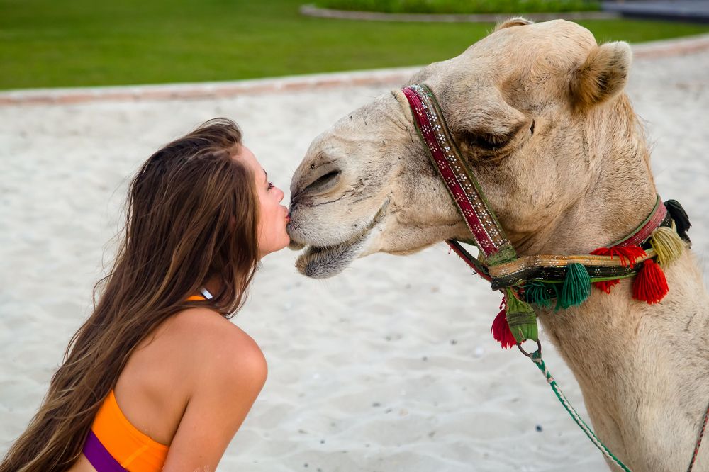 Любовь зла!