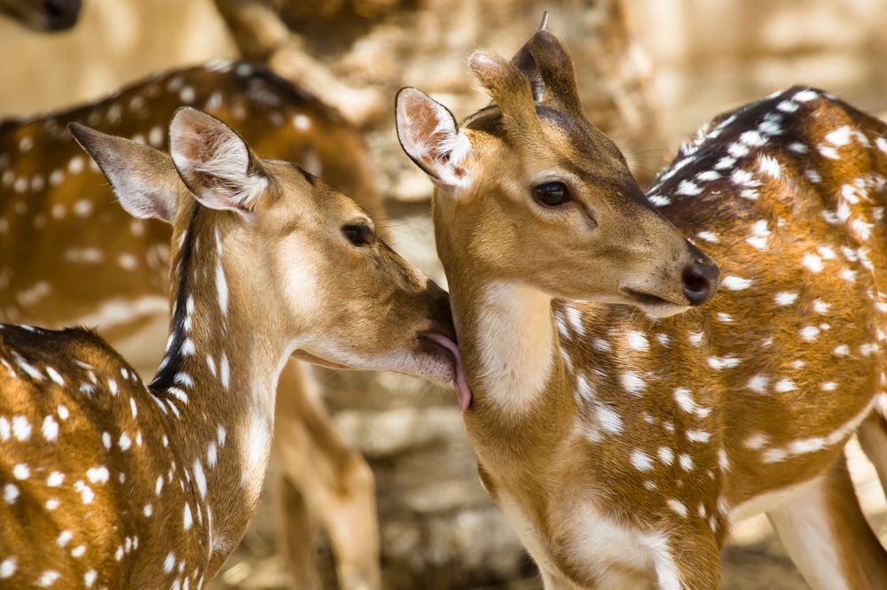 Photograph by Владимир Говоров