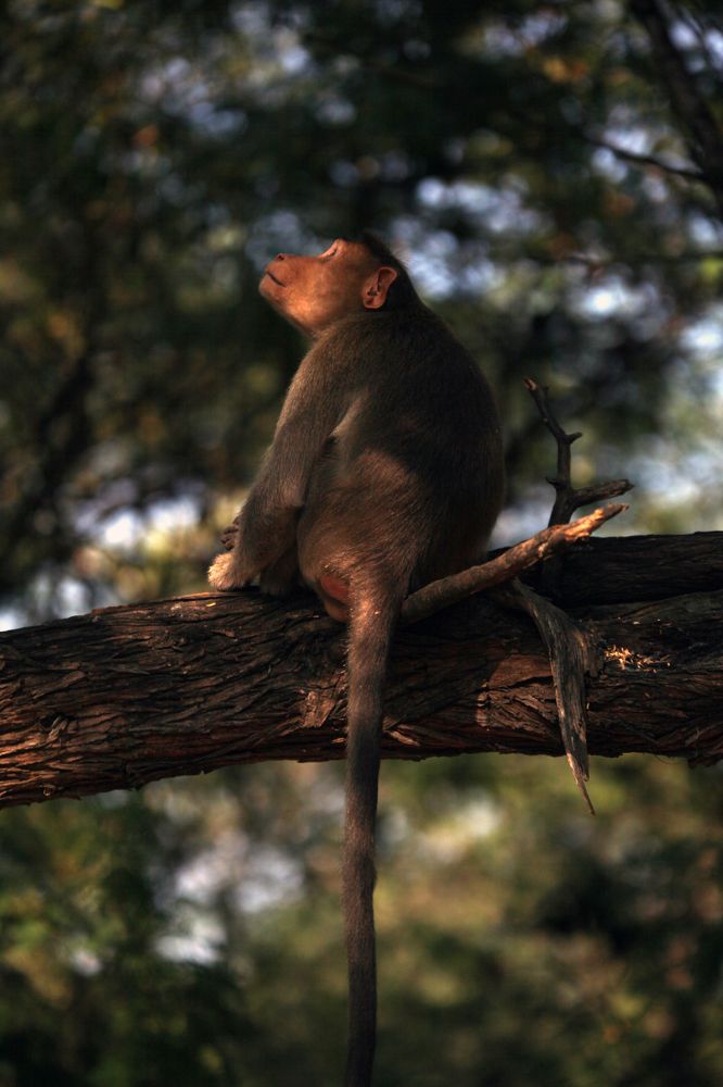 Фотография автора Mojtaba Chenari
