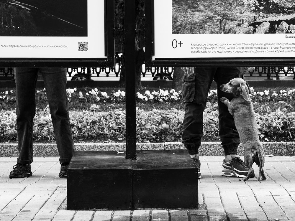 Photograph by Александр Луппов